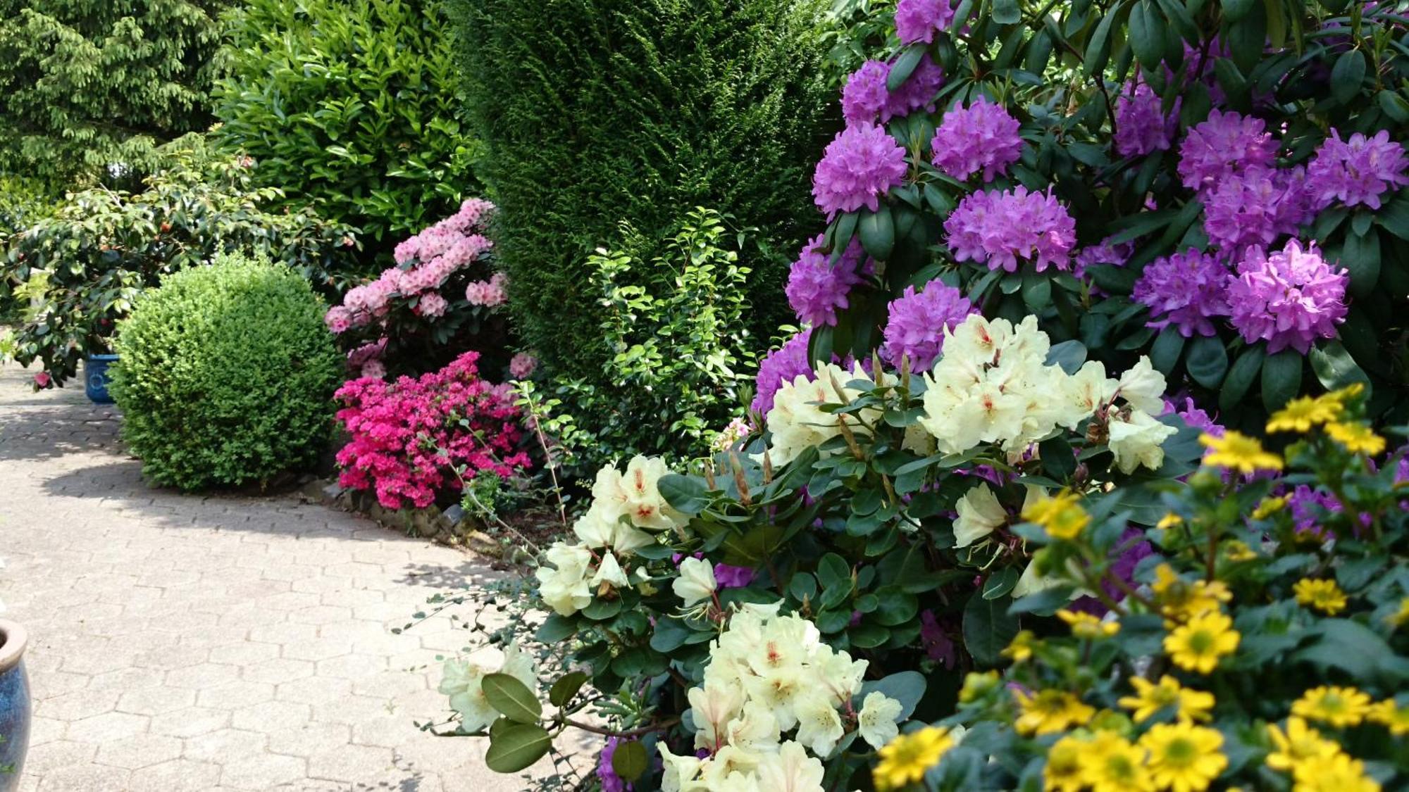 Hotel Villa Verde 3* Düsseldorf